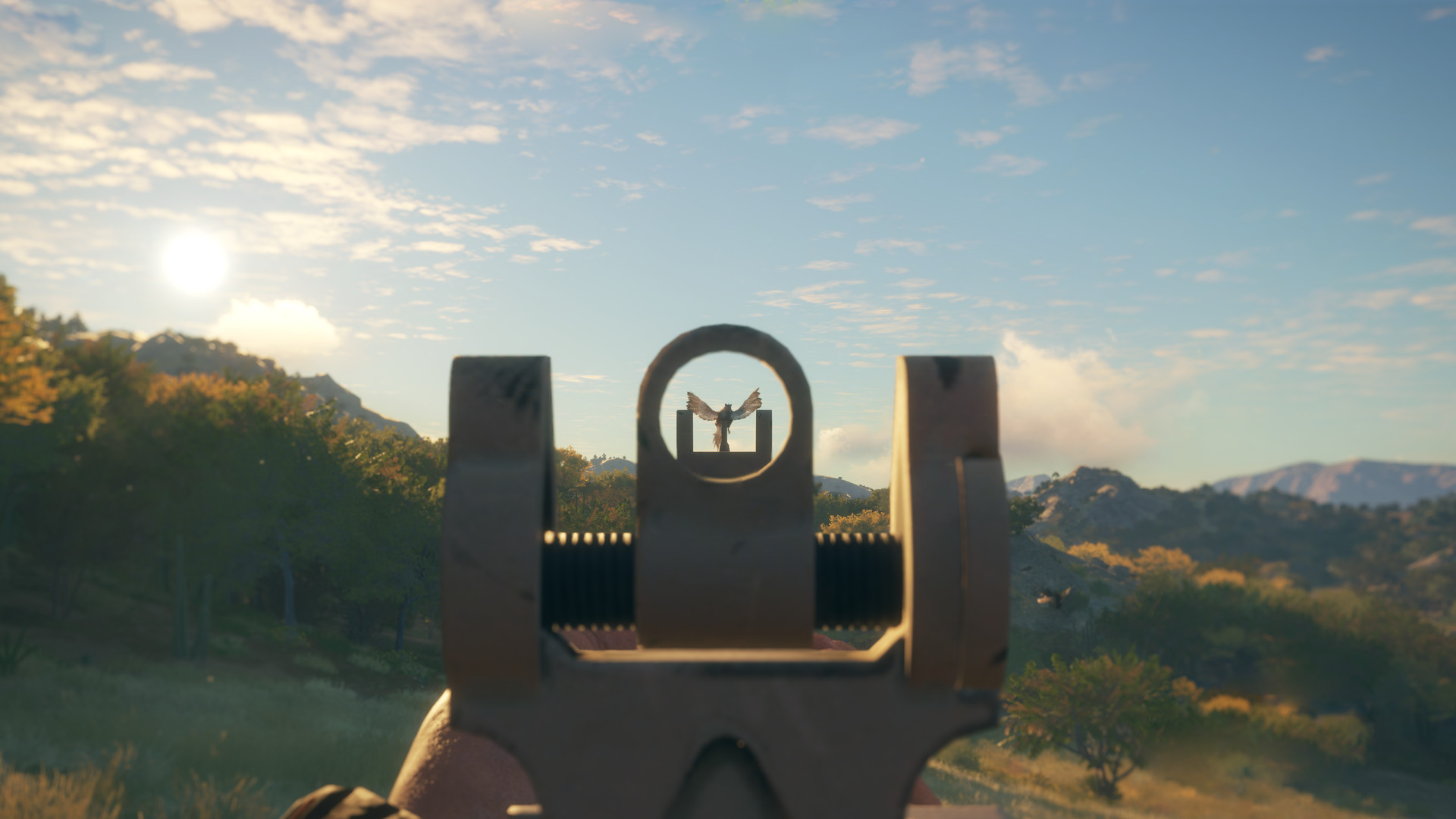 theHunter: Call of the Wild - Modern Rifle Pack