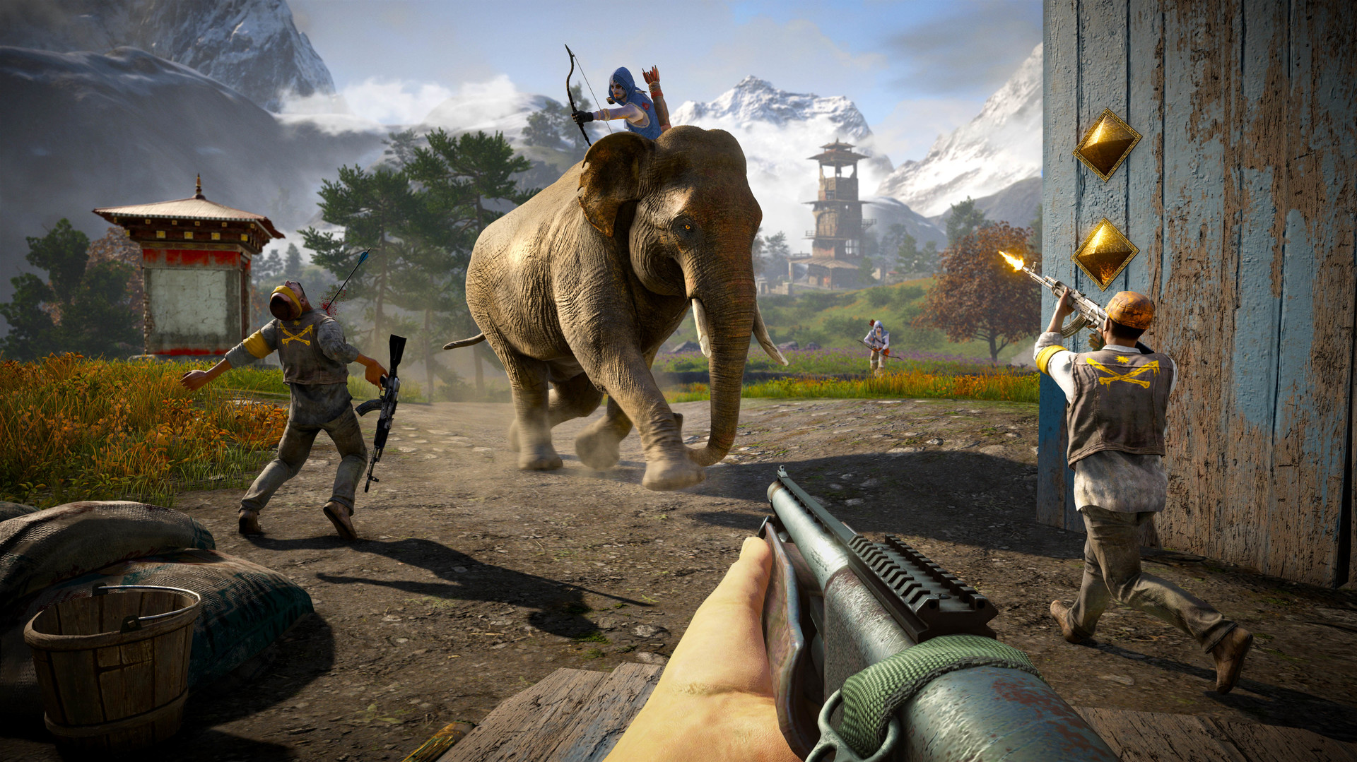 Far Cry 4 Overrun
