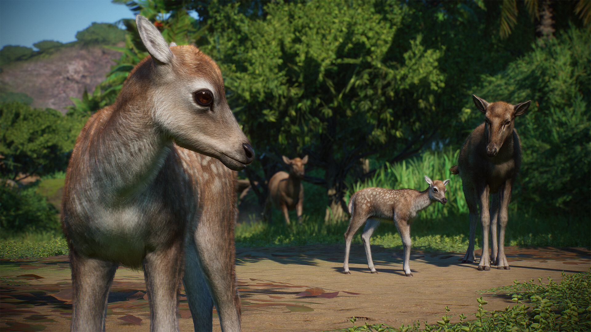 Planet Zoo: Asia Animal Pack